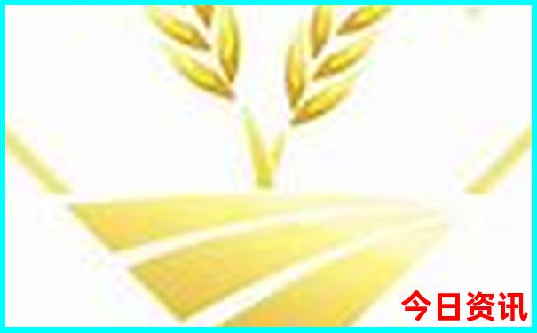 坝美在云南哪个地方